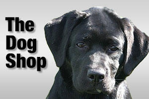 the dog shop