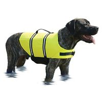 PawsAboard Doggy Life Jacket